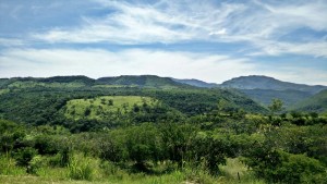 Rolling green hills