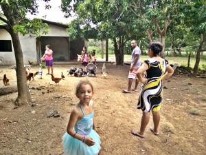 checking-out-chickens