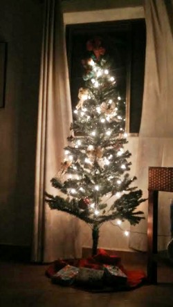 Christmas tree 2016