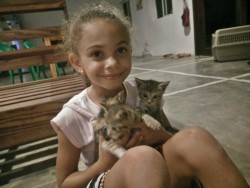 Azalea and orphan kittens