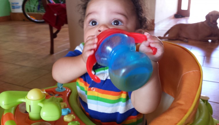 Titus enjoying some cantaloupe juice in his walker.